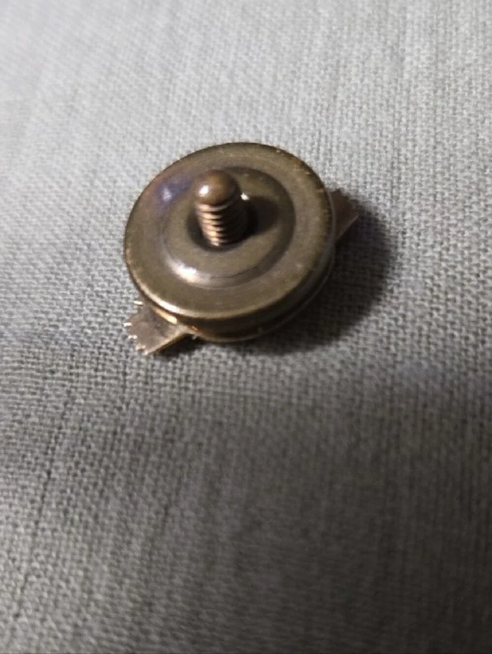 Gold Eagle Lapel Pin - Men Accessories